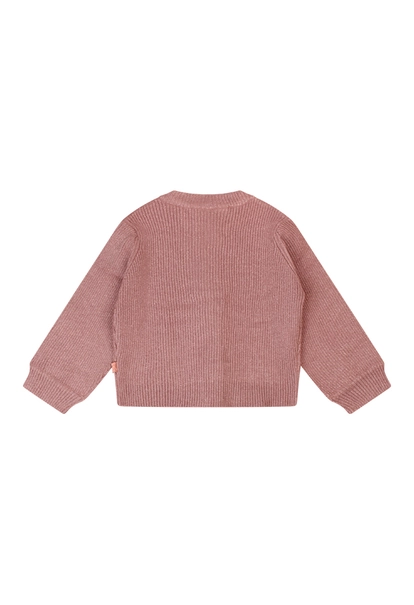 Bakkaboe baby meisjes vest lange mouw