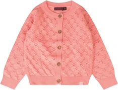 Bakkaboe baby meisjes vest