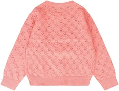 Bakkaboe baby meisjes vest