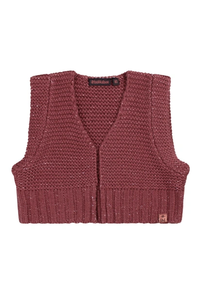 Bakkaboe peuter meisjes gilet