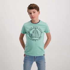 Cars jongens shirt korte mouw