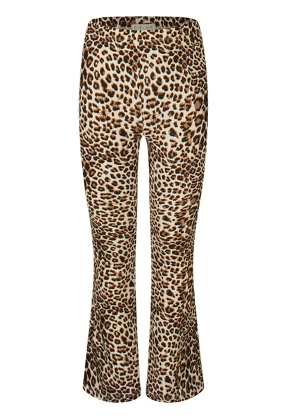 D-zine meisjes broek
