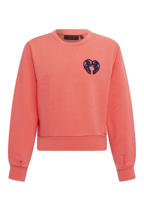 D-zine meisjes sweater