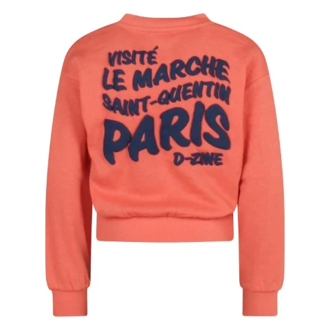D-zine meisjes sweater