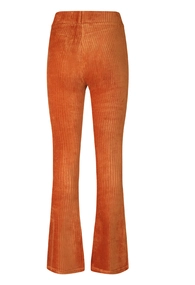 D-Zine meisjes velvet flair broek Sarre