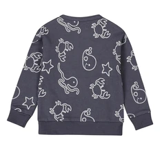 Dirkje baby jongens sweater
