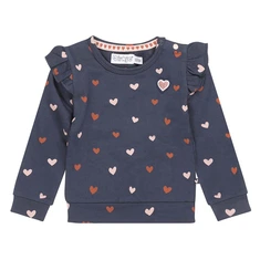 Dirkje baby meisjes sweatertje