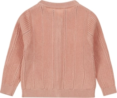 Dirkje baby meisjes vest