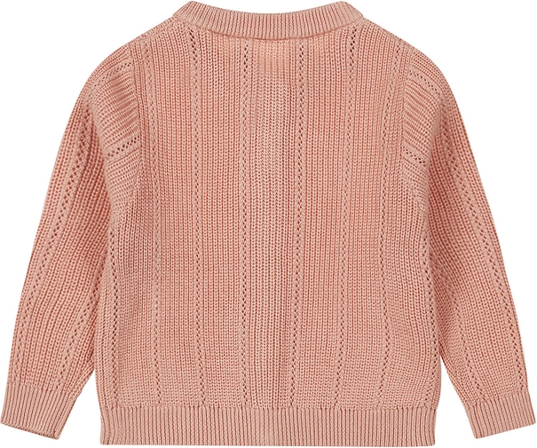 Dirkje baby meisjes vest