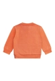 FLINQ baby jongens sweater