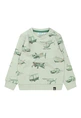 FLINQ baby jongens sweater