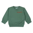 FLINQ baby jongens sweater