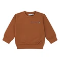 FLINQ baby jongens sweater
