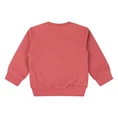 FLINQ baby jongens sweater