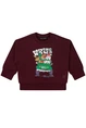 FLINQ baby jongens sweater