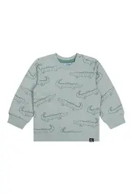 Flinq baby jongens sweater