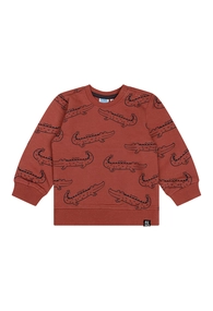 Flinq baby jongens sweater