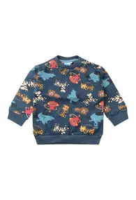 Flinq baby jongens sweater