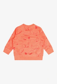 FLINQ baby jongens sweater