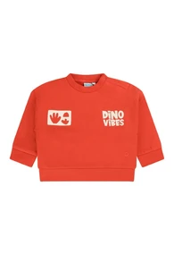 FLINQ baby jongens sweater