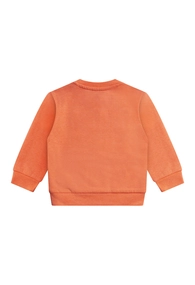 FLINQ baby jongens sweater