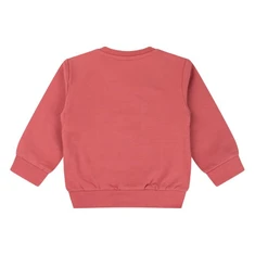 FLINQ baby jongens sweater