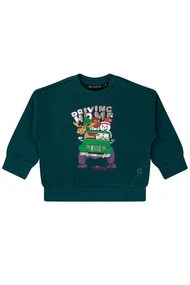 FLINQ baby jongens sweater
