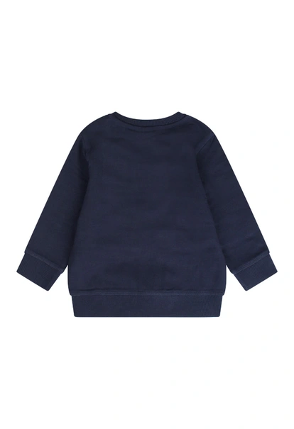 Flinq baby jongens sweater