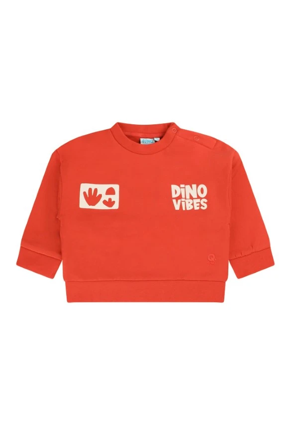 FLINQ baby jongens sweater