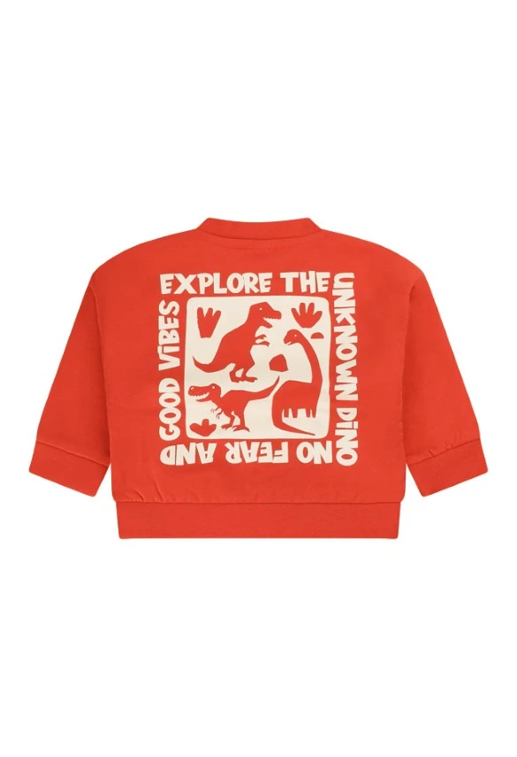 FLINQ baby jongens sweater