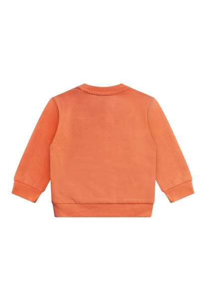 FLINQ baby jongens sweater