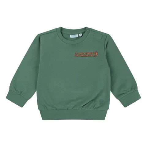FLINQ baby jongens sweater