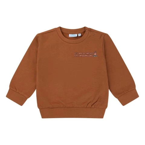 FLINQ baby jongens sweater