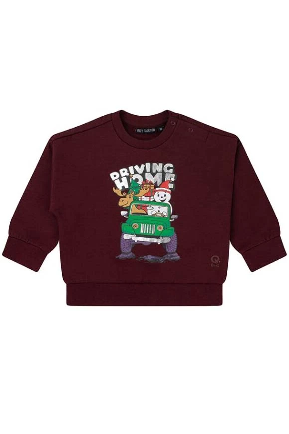 FLINQ baby jongens sweater