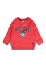 Flinq baby jongens sweater