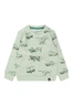 FLINQ baby jongens sweater