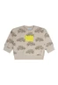 FLINQ baby jongens sweater