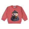 FLINQ baby jongens sweater