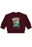 FLINQ baby jongens sweater