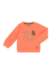Flinq baby jongens trui lange mouw