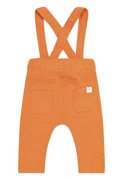 FLINQ baby jongens tuinbroek Ben