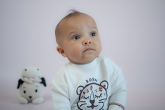Frogs and Dogs baby meisjes trui