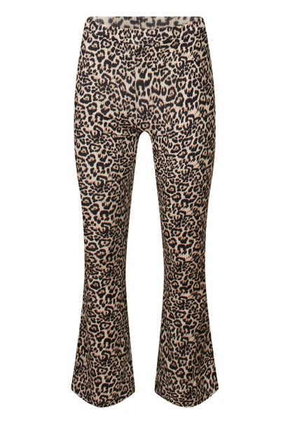 Lizzi Lou dames flair broek