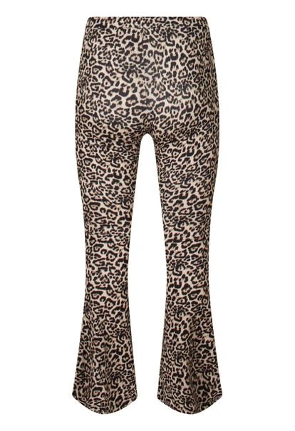 Lizzi Lou dames flair broek