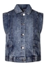 Lizzi Lou dames gilet