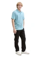 Tom Tailor heren polo