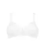 Triumph My Perfect Shaper WP