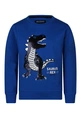 Unlocked jongens sweater Trex