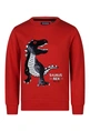 Unlocked jongens sweater Trex