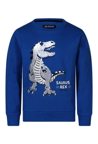 Unlocked jongens sweater Trex